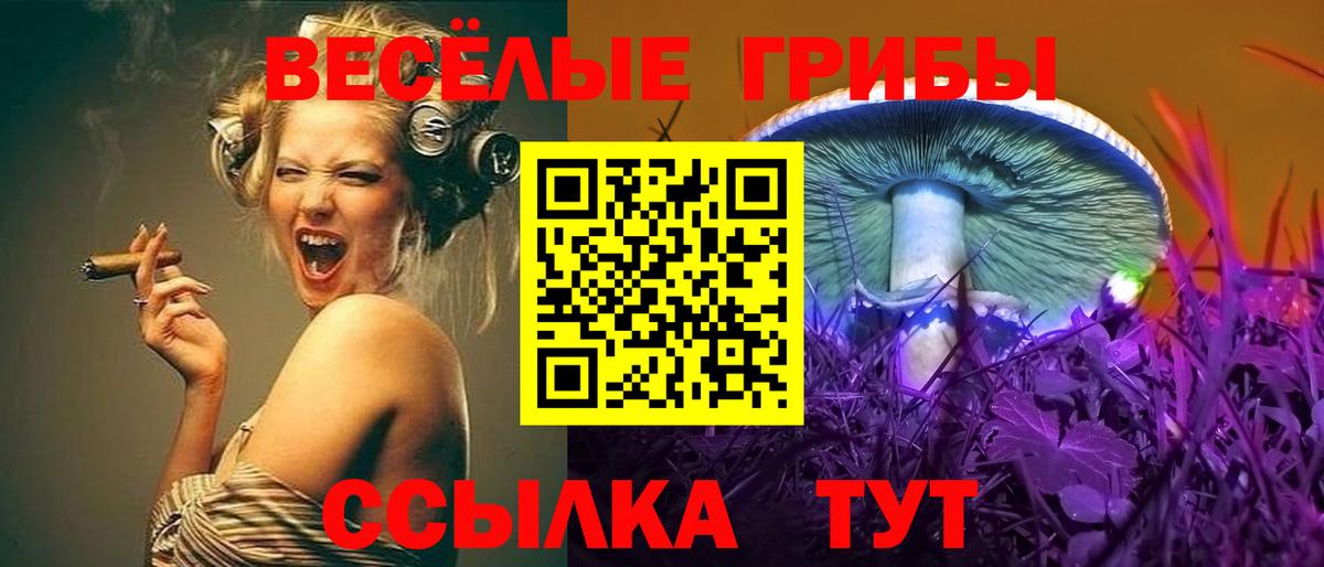 Галлюциногенные грибы мицелий  Вход с VPN  Псилоцибиновые грибы Cubensis  Владикавказ 